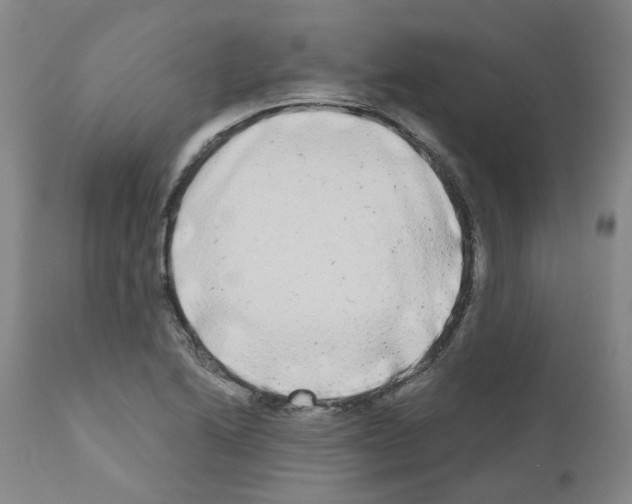 X0000110951222200907311033