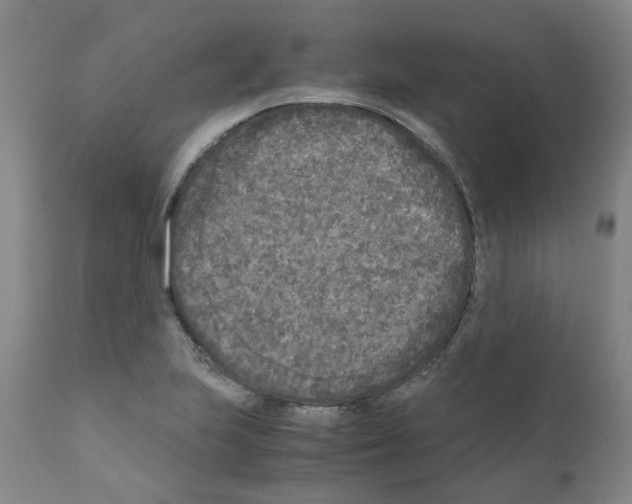 X0000110951223200907311033