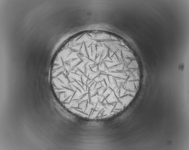 X0000110951224200907311033