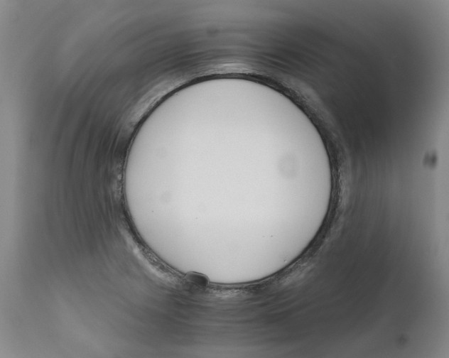 X0000110951225200907311033