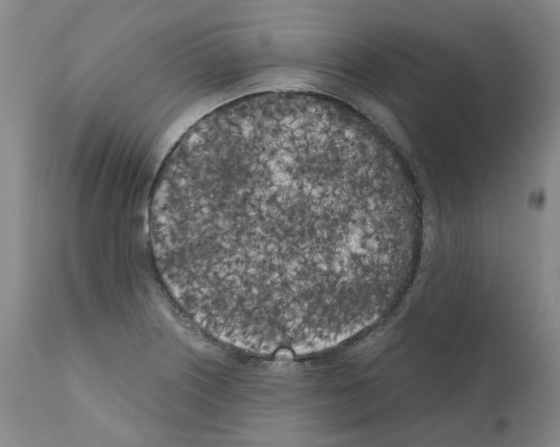 X0000110951226200907311033