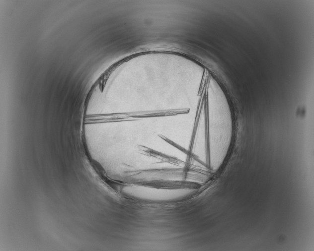X0000110951228200907311033