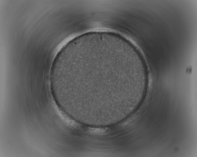 X0000110951229200907311033
