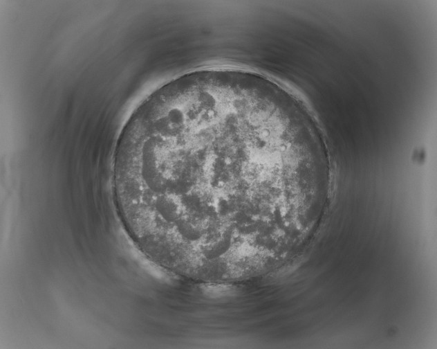 X0000110951231200907311033