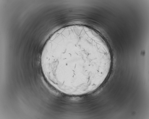 X0000110951233200907311033