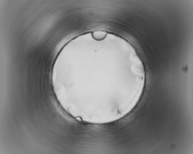 X0000110951234200907311033
