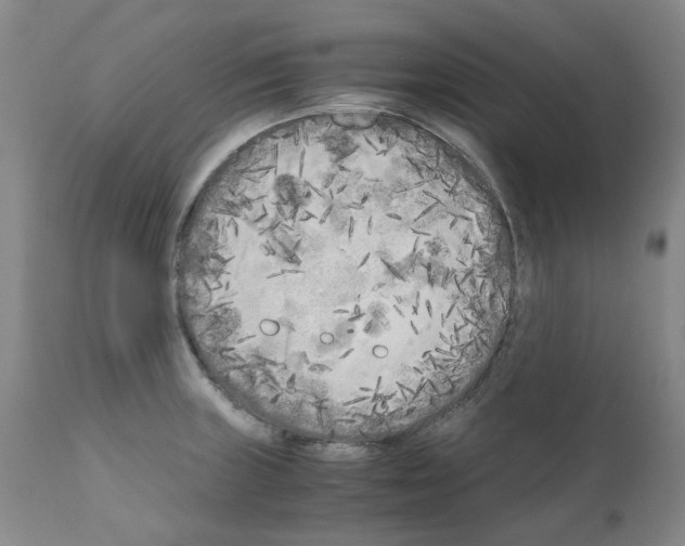 X0000110951235200907311033