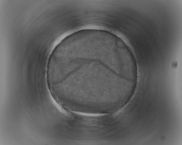 X0000110951237200907311033