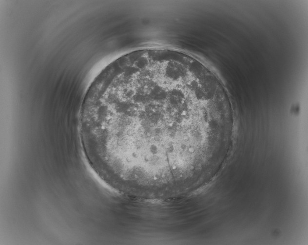X0000110951239200907311033