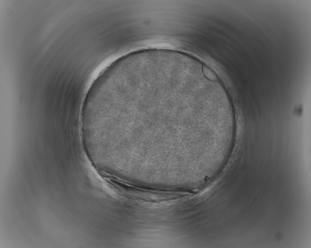 X0000110951240200907311033