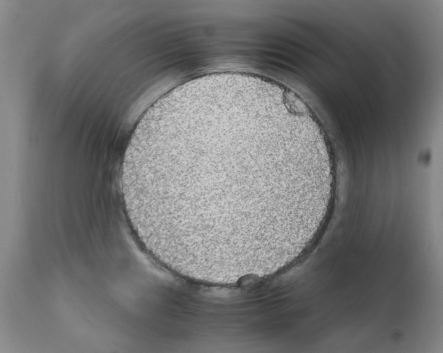 X0000110951241200907311033