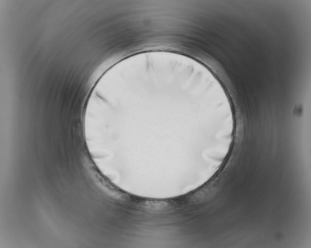 X0000110951242200907311033