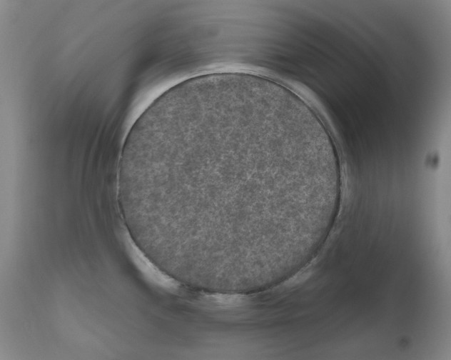 X0000110951244200907311034