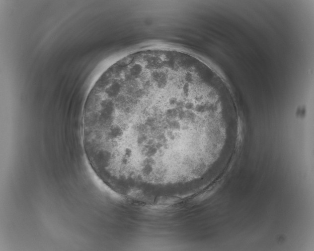 X0000110951247200907311034