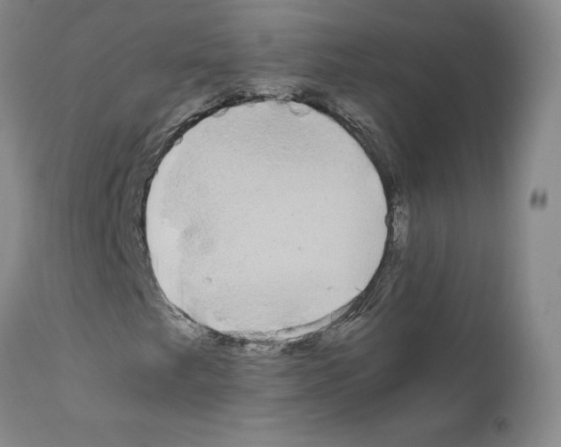 X0000110951249200907311033