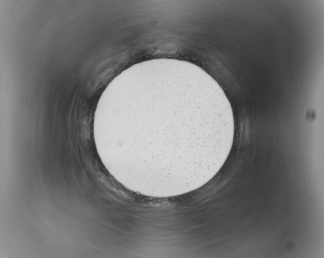 X0000110951250200907311033