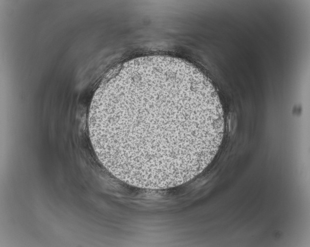 X0000110951251200907311033