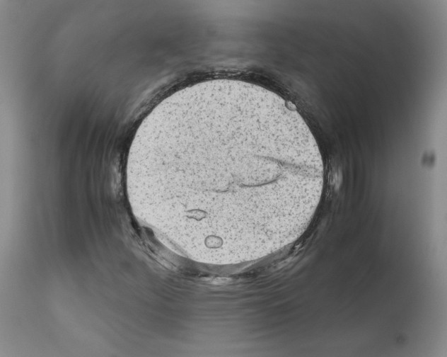 X0000110951252200907311033
