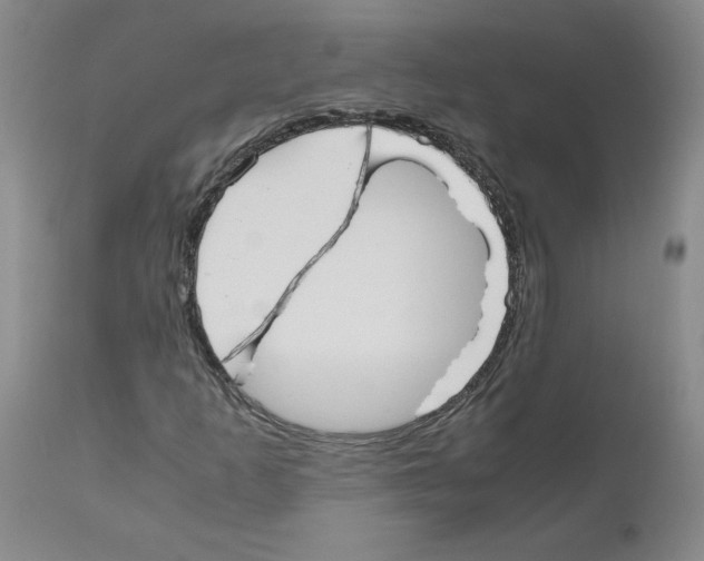 X0000110951253200907311033