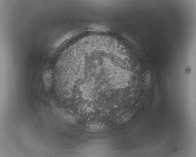 X0000110951254200907311033