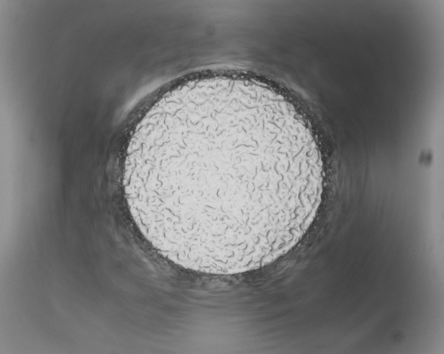 X0000110951255200907311033