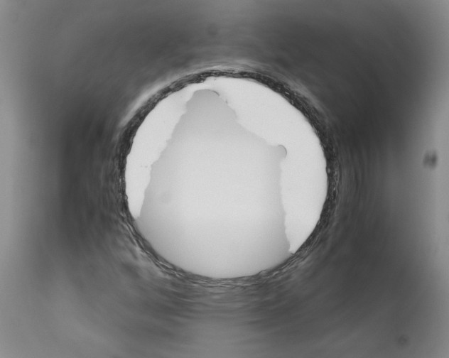 X0000110951256200907311033