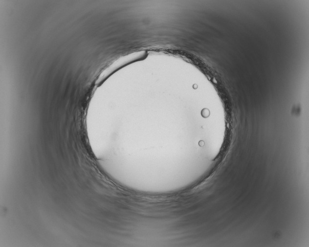 X0000110951257200907311033