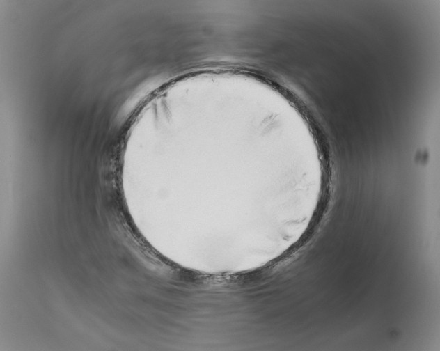 X0000110951259200907311033