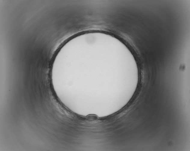 X0000110951260200907311033