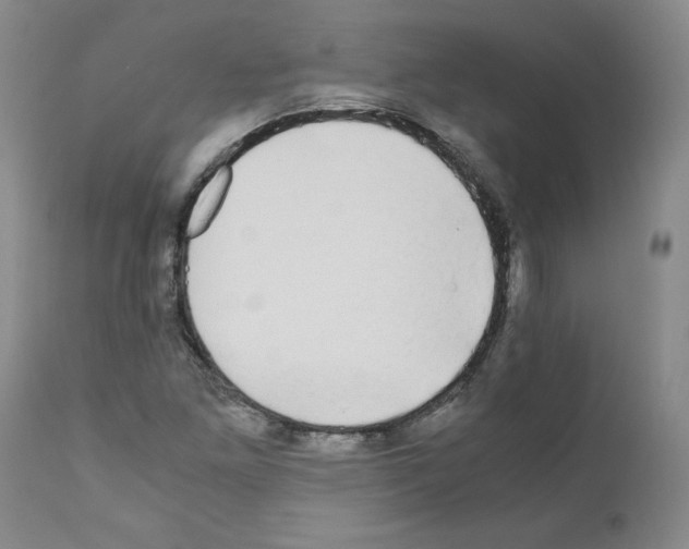X0000110951261200907311033