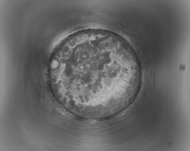 X0000110951263200907311033