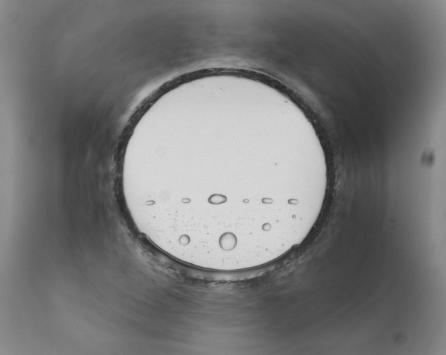 X0000110951264200907311033