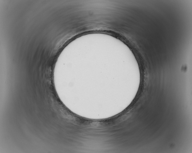 X0000110951265200907311033