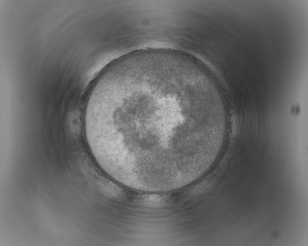 X0000110951266200907311033