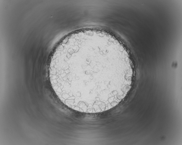 X0000110951267200907311033