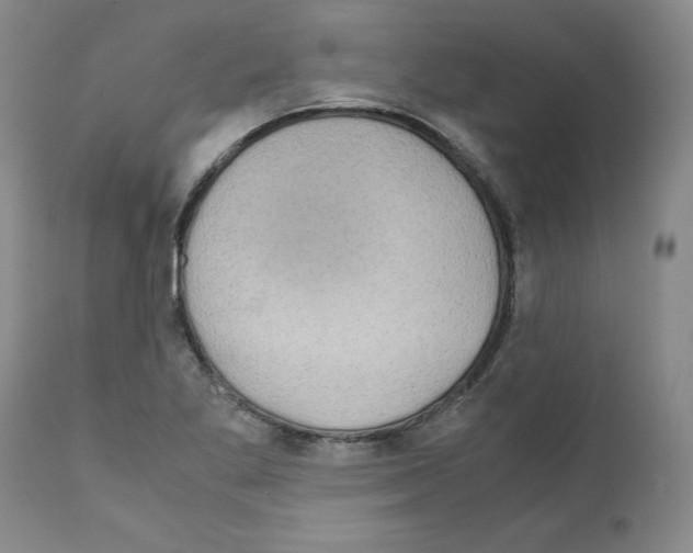 X0000110951269200907311033