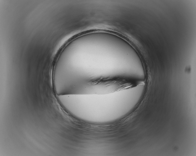 X0000110951272200907311033