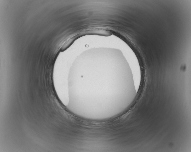X0000110951273200907311033