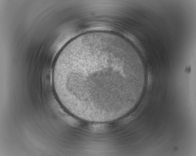 X0000110951274200907311033