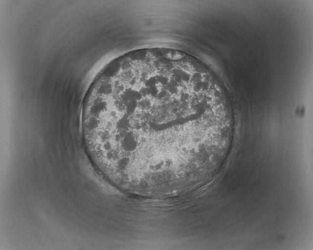 X0000110951275200907311033