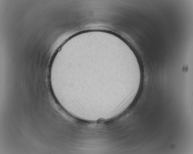 X0000110951277200907311033