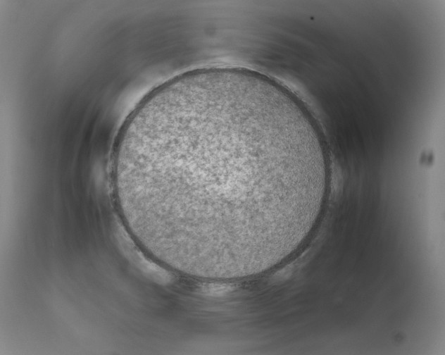 X0000110951278200907311033