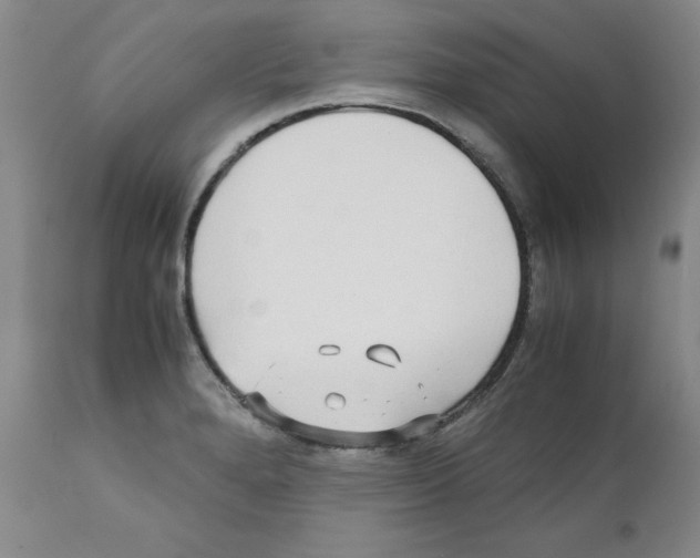 X0000110951280200907311032