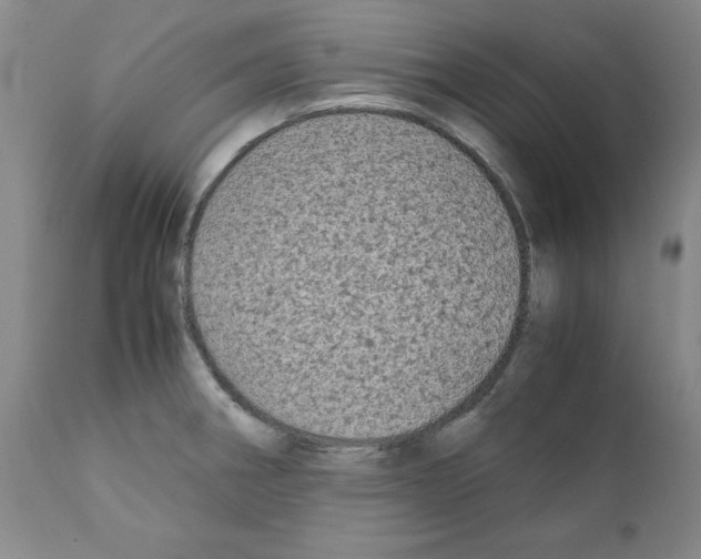 X0000110951282200907311032