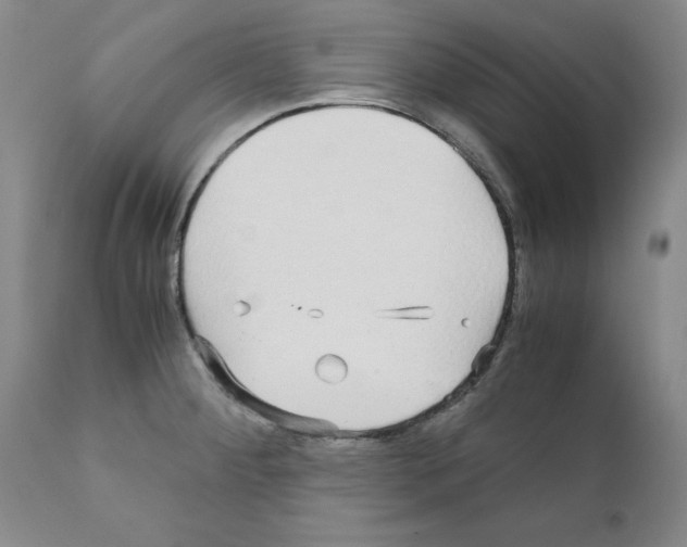 X0000110951284200907311032