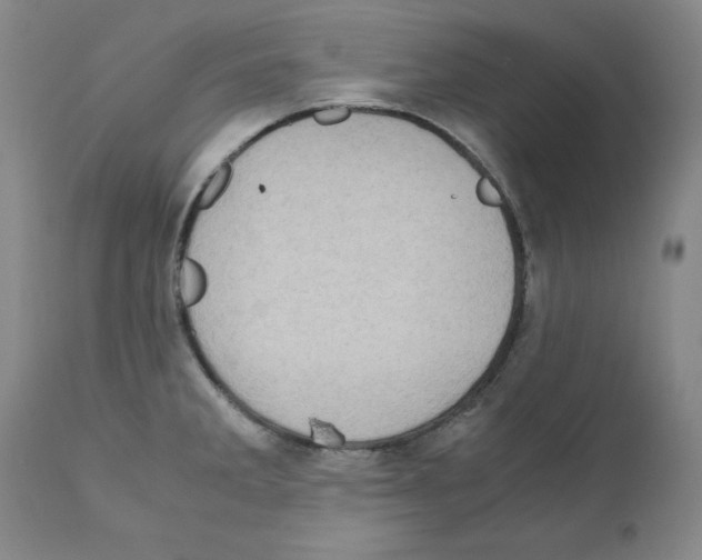 X0000110951285200907311032