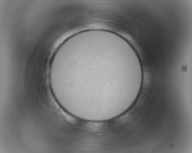 X0000110951286200907311032