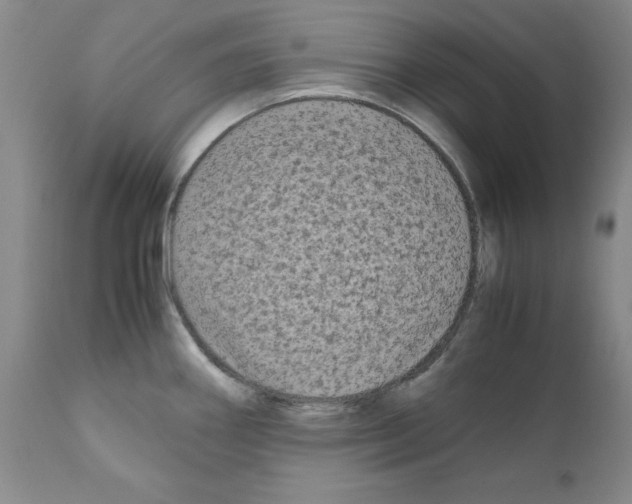 X0000110951290200907311032