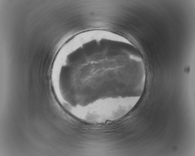 X0000110951291200907311032