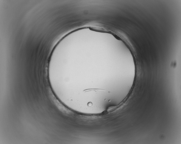 X0000110951292200907311032
